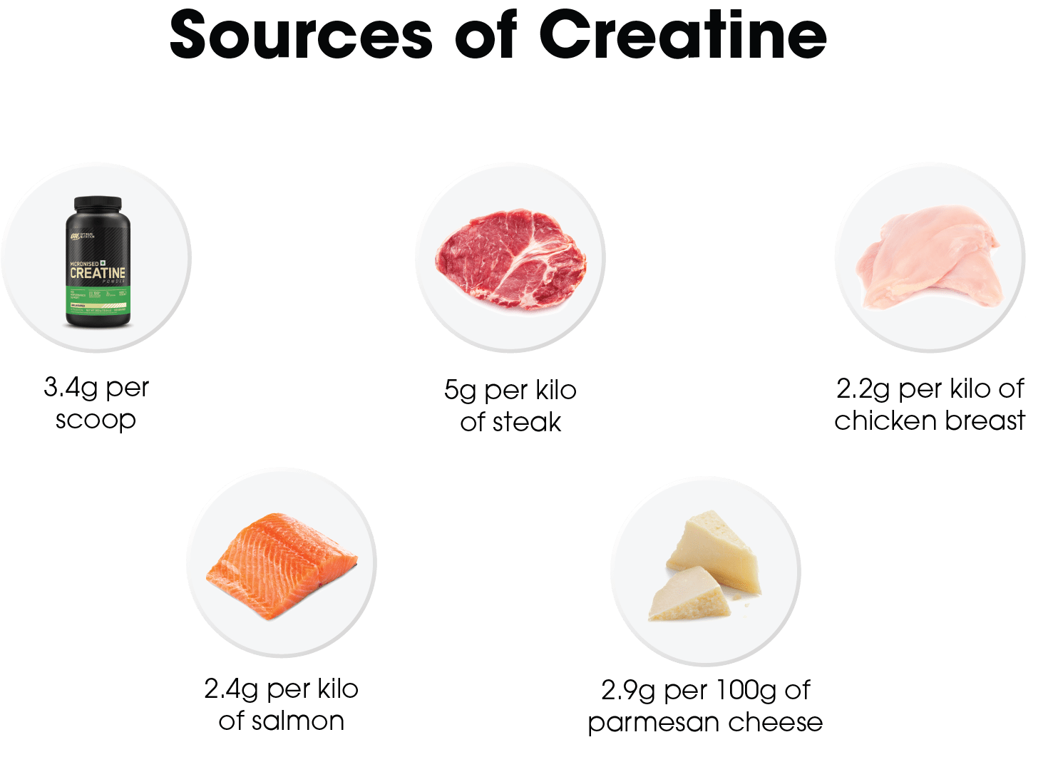 The Essential Guide to Creatine Optimum Nutrition UK